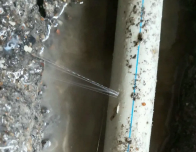 临淄测漏水哪家好