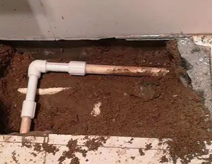 临淄测漏水哪家好