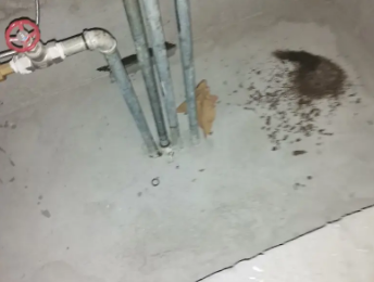 临淄卫生间测漏水价格明细