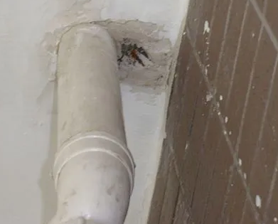 临淄漏水检测哪家好